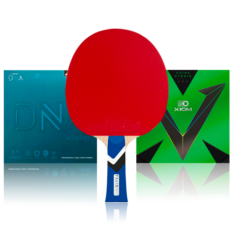 Tibhar Felix Lebrun OFF- / DNA Hybrid M / Vega Pro H